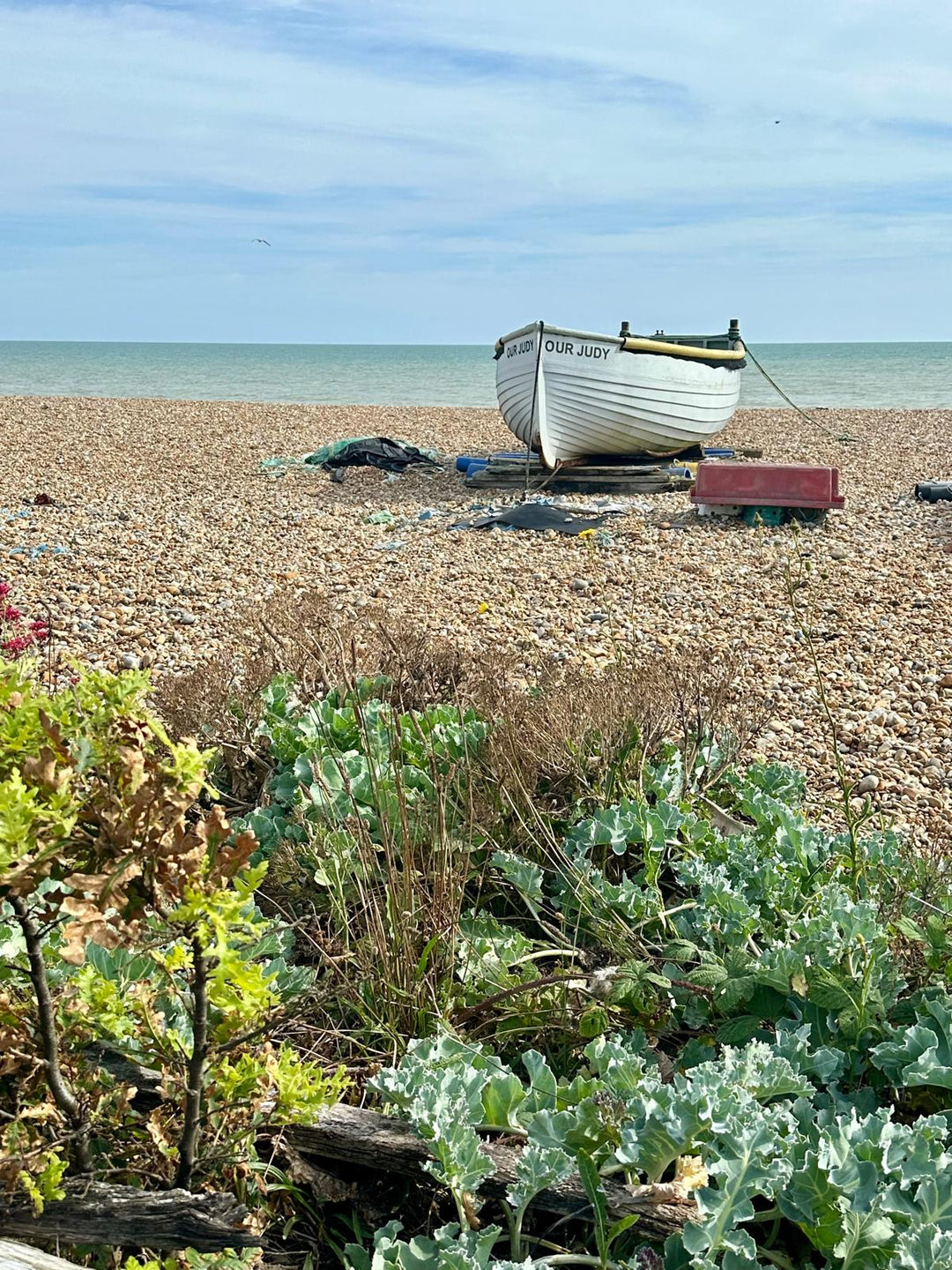Discover the Charm of St Leonard’s seafront at Coastal Currents 2024 - Blackbird Jewellery