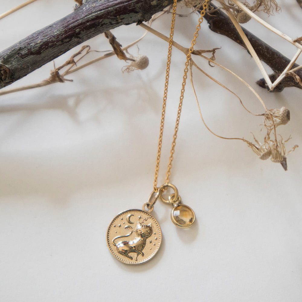Witches Cat Necklace in 18ct gold vermeil with moon and star design, handmade by Blackbird Jewellery, displayed alongside nature-inspired props.
