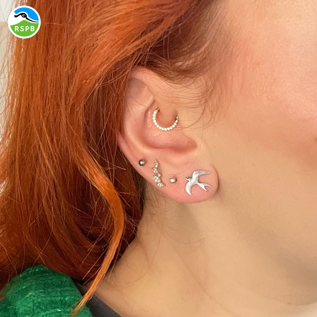 Silver Stud Earrings - Blackbird Jewellery