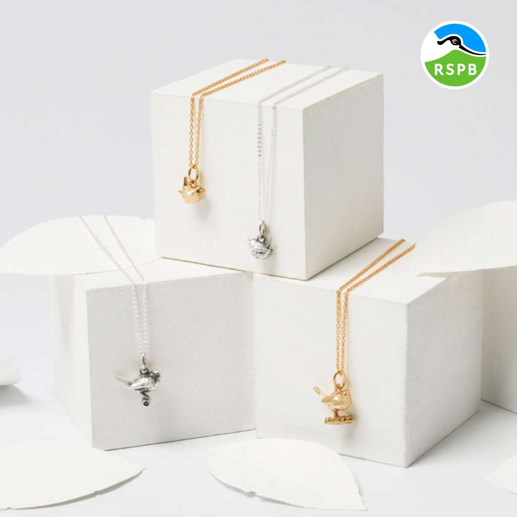 Handmade bird necklaces in sterling silver and gold vermeil displayed on white boxes from the Blackbird Jewellery RSPB bird collection.