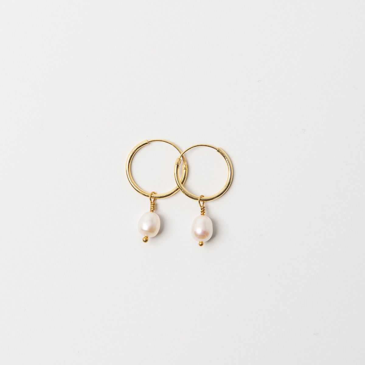 Gold Hoop Earrings - Blackbird Jewellery