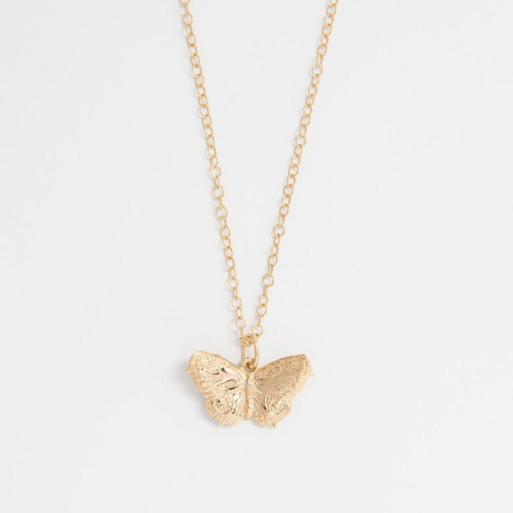 Blackbird Jewellery A gold vermeil butterfly pendant on a chain necklace, displayed against a white background.