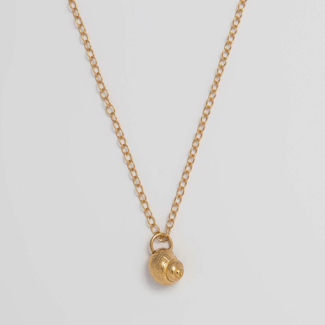 A gold vermeil winkle shell necklace with a small gold-colored charm attached to a gold-colored chain.