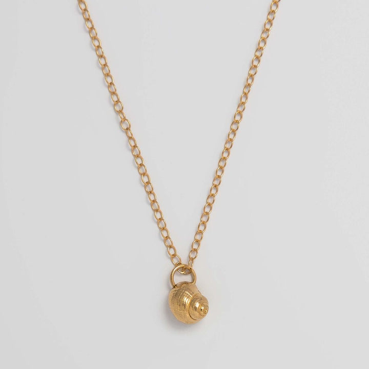 A gold vermeil winkle shell necklace with a small gold-colored charm attached to a gold-colored chain.