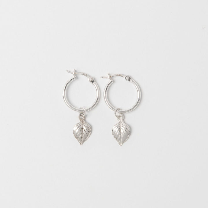 Blackbird Jewellery Sterling silver birch leaf hoop earrings on white background – handmade nature-inspired jewellery gift