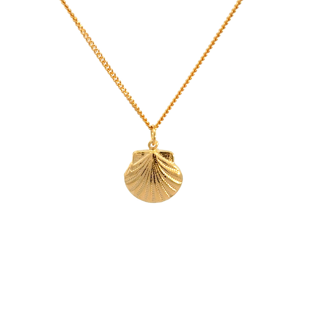 Blackbird Jewellery 18ct Gold vermeil scallop shell necklace by Blackbird Jewellery, handmade coastal charm