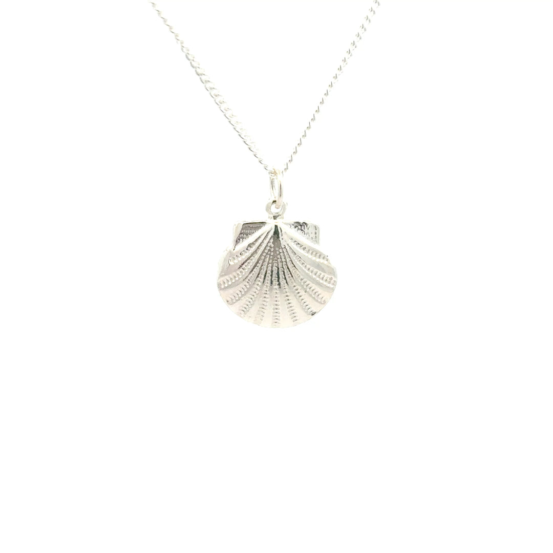 Sterling Silver Silver shell pendant necklace on a white background