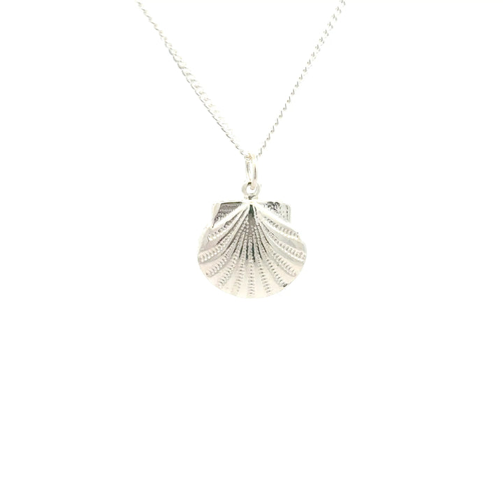 Sterling Silver Silver shell pendant necklace on a white background