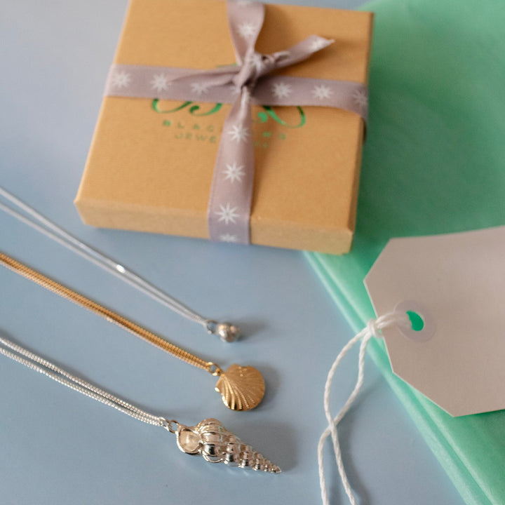 Blackbird Jewellery 18ct Gold necklaces with shell pendants on a light blue surface next to a gift box with a ribbon.