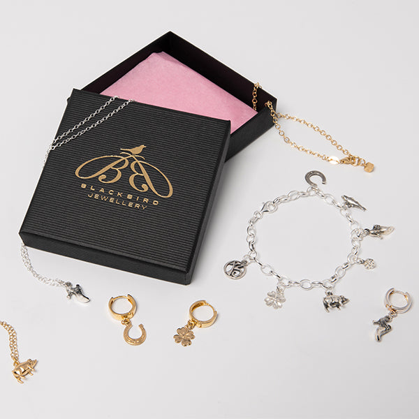 Sterling silver lucky charm jewellery collection by Blackbird Jewellery