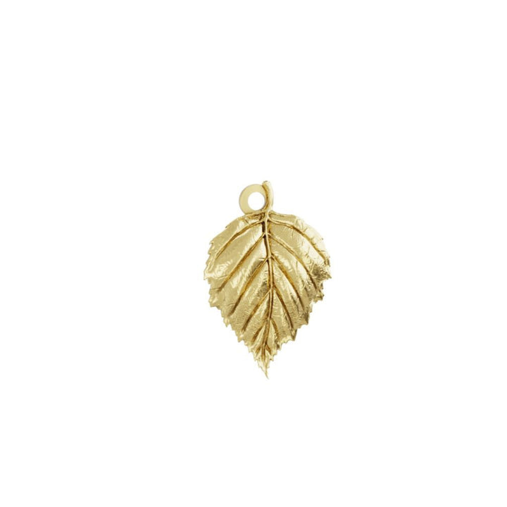 Gold vermeil birch leaf charm with jump ring – handmade nature-inspired jewellery by Blackbird Jewellery