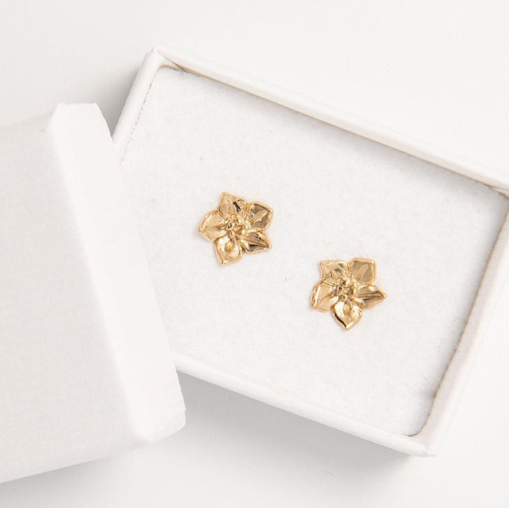 Blackbird Jewellery Gift Box with Forget-Me-Not Earrings – Thoughtful Gift Idea