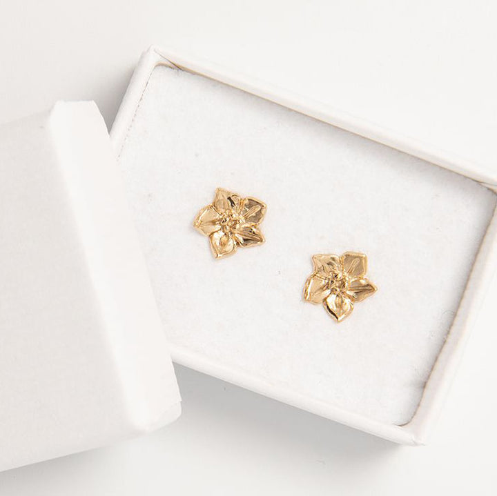 Blackbird Jewellery Gift Box with Forget-Me-Not Earrings – Thoughtful Gift Idea