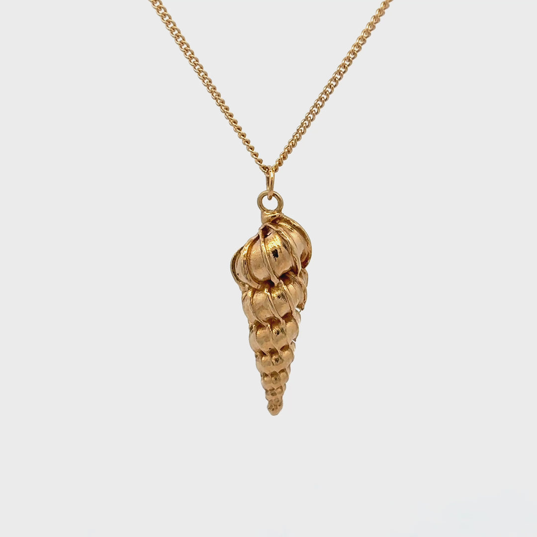 Blackbird Jewellery gold vermeil shell necklace turnaround video