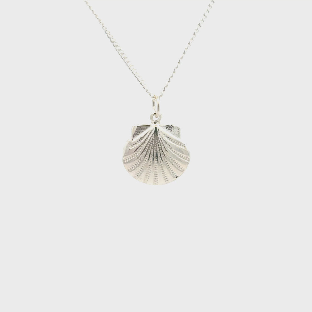 Sterling silver scallop shell necklace by Blackbird Jewellery, handmade coastal charm 360 turnaround 